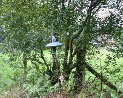 Expositie Beeldentuin Meeuwis De Vries