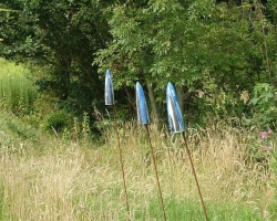 Expositie Hypolitushoef Tuinexpo